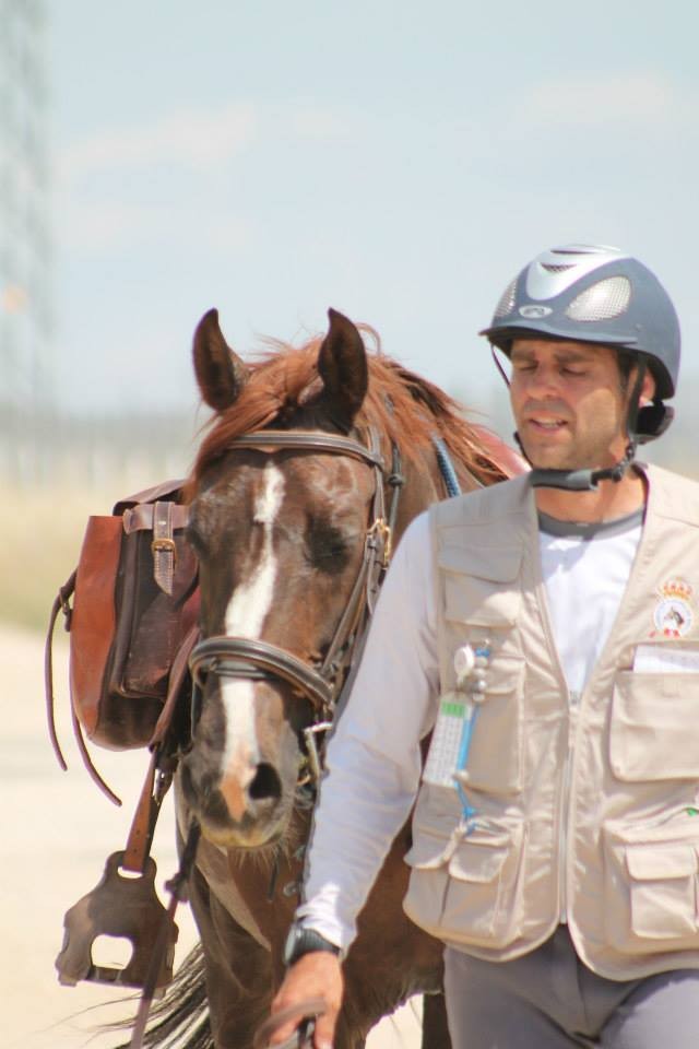 Jose Romera Fern&aacute;ndez seleccionado para el Cpto Europa absoluto de TREC, que tendr&aacute; lugar en Pratissolo di Scandiano (Italia)